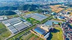 （新春走基层·民企这一年）科技育种数字大棚，不一样的田间地头